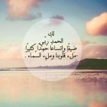 ������ ������� ����� ������